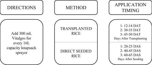 Rice Table